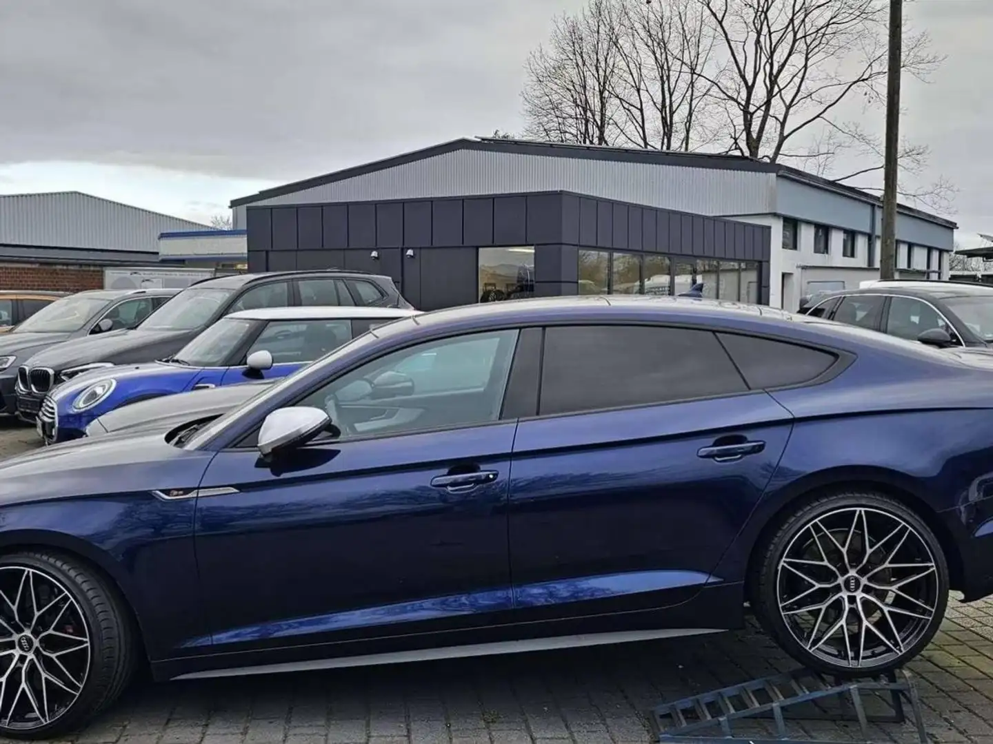 Audi S5 SB 3.0 TDI quat FULL Direction dynamique Pano - 2