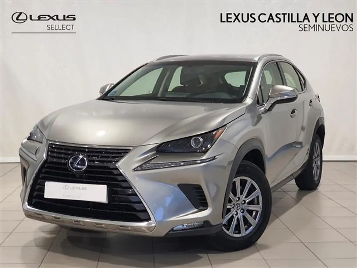 Lexus NX 300 300h Business Navigation 2WD Gris - 1