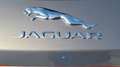 Jaguar F-Pace 20d AWD R-Sport Aut. VOLL + PANO + STHZG Grau - thumbnail 10