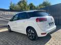 Citroen C4 Picasso 1.2 PureTech 110 Feel Start&Stop Weiß - thumbnail 6