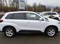 Suzuki Vitara Vitara 1.5 Dualjet Hybrid Allgrip AGS Comfort Weiß - thumbnail 7
