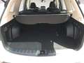 Subaru Forester 2.0i Hybrid Executive Plus CVT Blanco - thumbnail 11