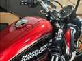Harley-Davidson XL 1200 Rood - thumbnail 3
