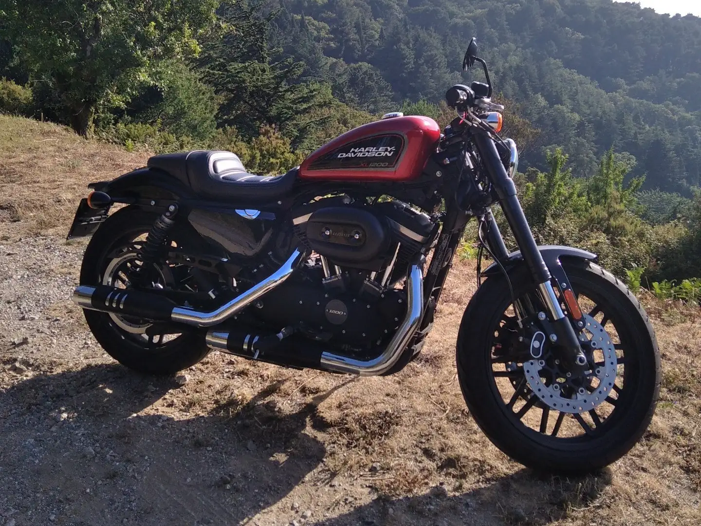Harley-Davidson XL 1200 Rojo - 1