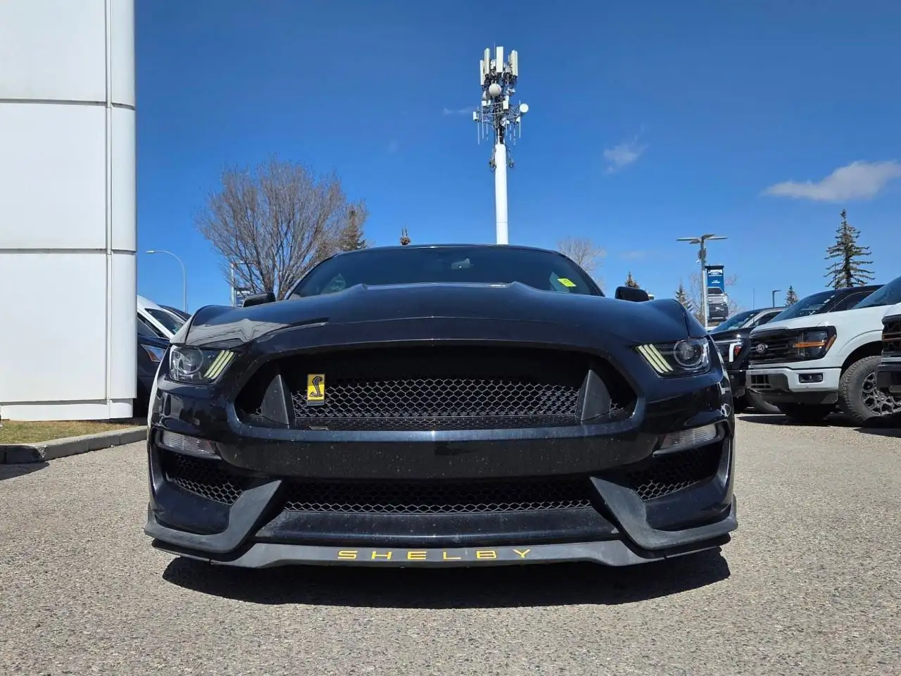 Ford Mustang снимка Ford Mustang