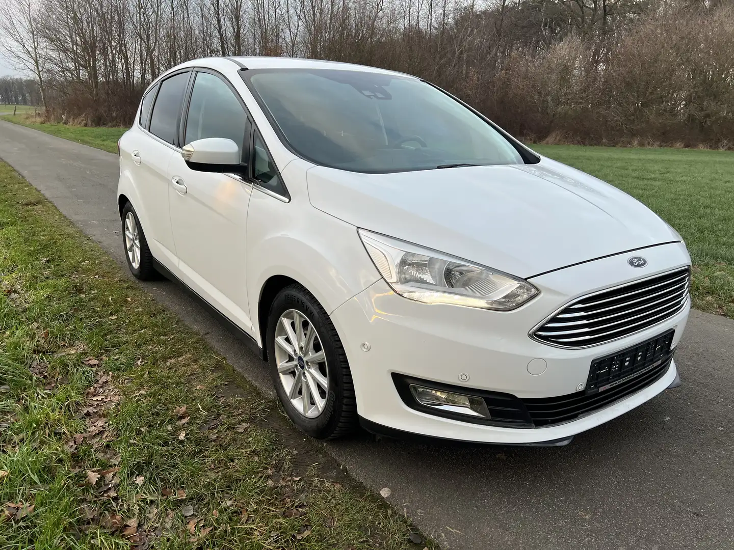 Ford C-Max 1.0 EcoBoost  Titanium Navi, Sitzheizung - 1