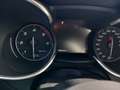 Alfa Romeo Stelvio Stelvio 2.2 t Business Q4 190cv auto PREZZO REALE! Bleu - thumbnail 9