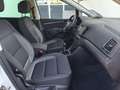 Volkswagen Sharan 7-Sitzer, Leasingfähig Weiß - thumbnail 24