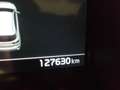 Kia Ceed / cee'd Kia ceed 1,6 CRDi 48V Gold Blau - thumbnail 11
