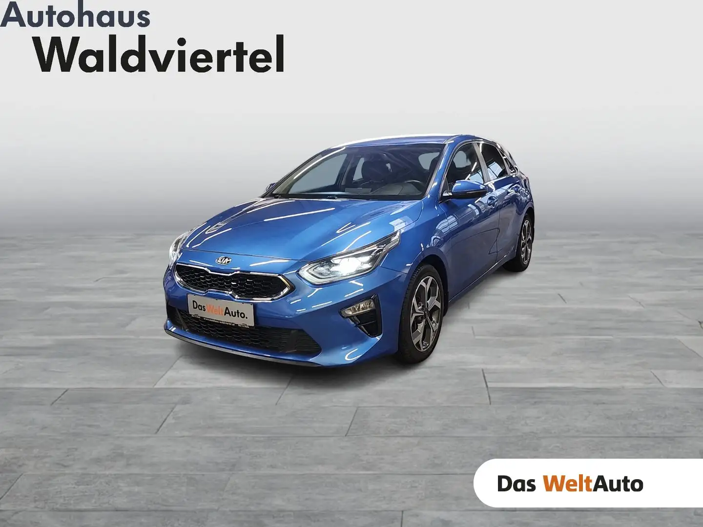 Kia Ceed / cee'd Kia ceed 1,6 CRDi 48V Gold Blau - 1