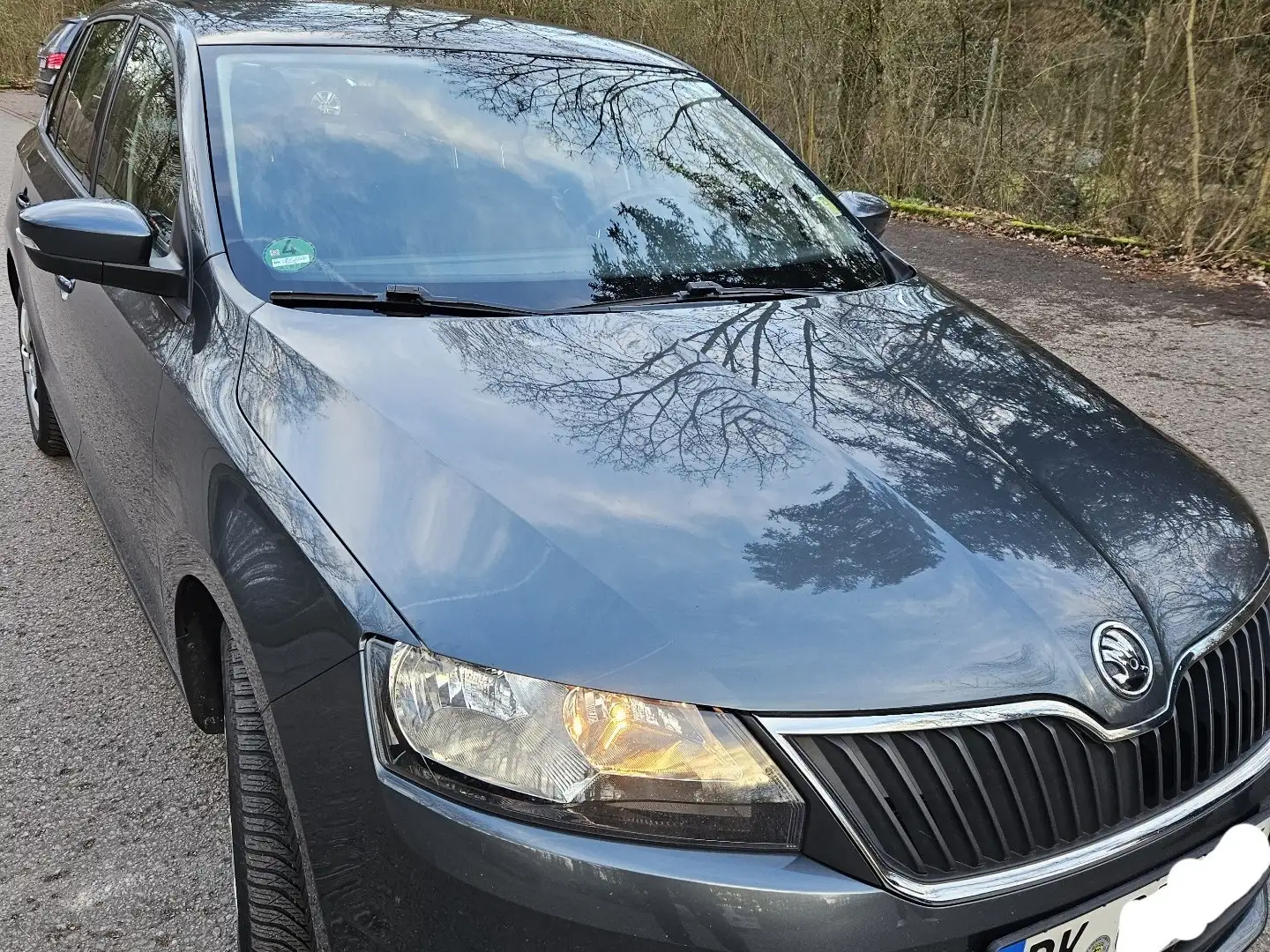 Skoda Rapid/Spaceback Rapid 1.4 TDI (Green tec) Ambition Grau - 1