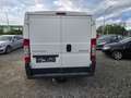 Peugeot Boxer L1H1 100HDi Weiß - thumbnail 5