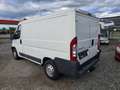 Peugeot Boxer L1H1 100HDi Weiß - thumbnail 6