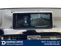BMW X2 X2 sDrive18i Aut. Advantage Plus 18" Navi RFK Weiß - thumbnail 17