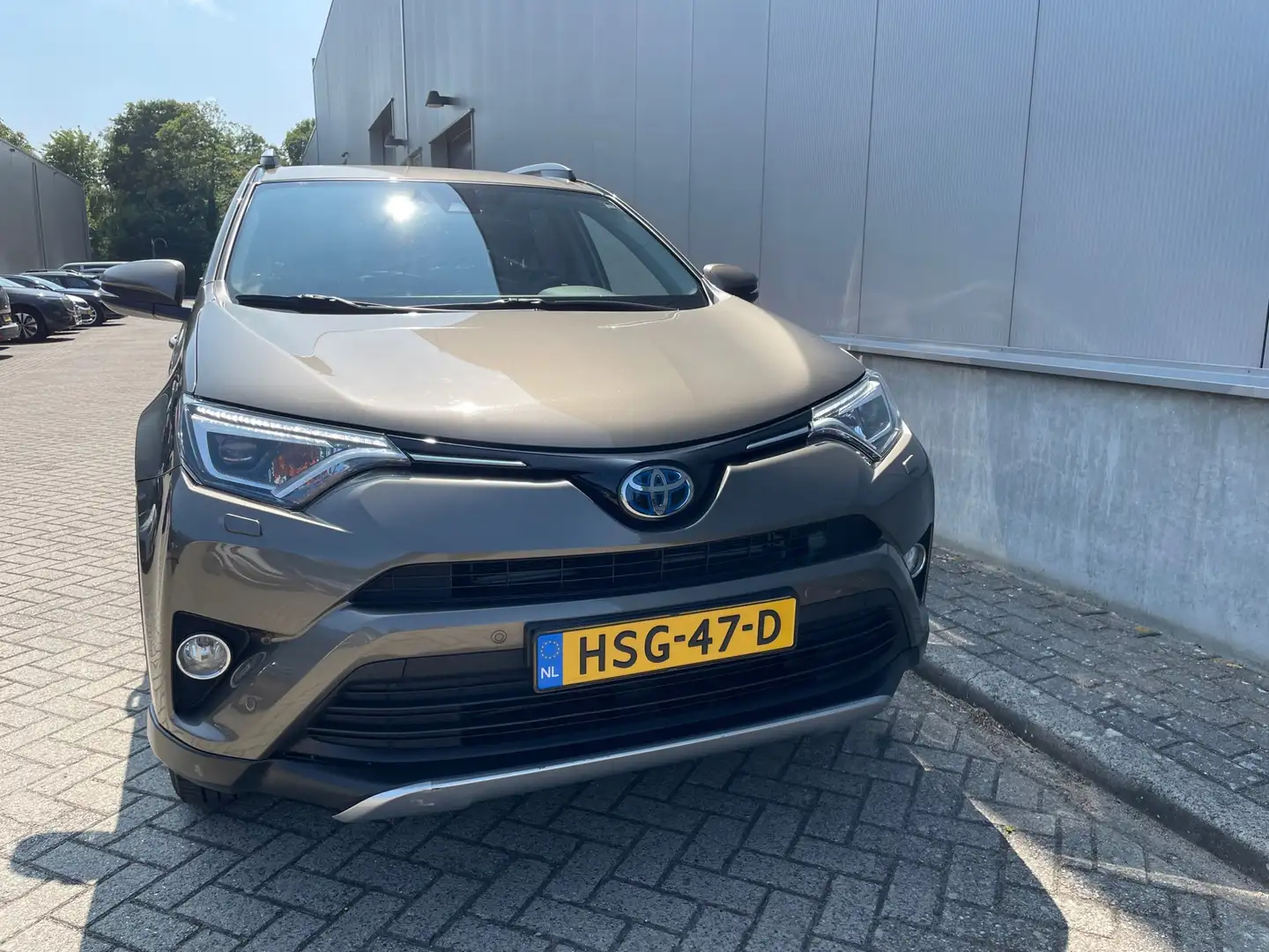 Toyota RAV 4 2.5 Hybrid Dynamic / Navigatie / stoelverwarming Braun - 2