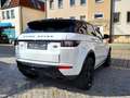 Land Rover Range Rover Evoque HSE Dynamic KEYL LEDER SITZHZG Weiß - thumbnail 5