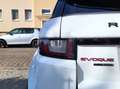 Land Rover Range Rover Evoque HSE Dynamic KEYL LEDER SITZHZG Fehér - thumbnail 11