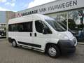 Citroen Jumper 2.2 BUS 9 ZITPLAATSEN + ROLSTOELLIFT White - thumbnail 2