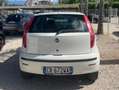 Fiat Punto Punto II 2003 5p 1.3 mjt 16v Dynamic Wit - thumbnail 4
