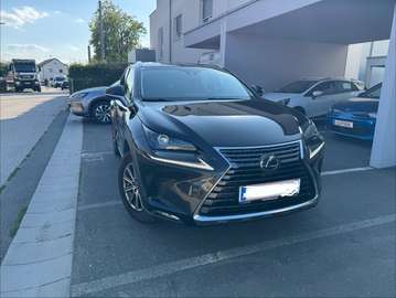Privilege Hybrid Aut