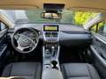 Lexus NX 300h Privilege Hybrid Aut Schwarz - thumbnail 6