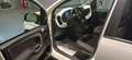 Fiat Panda 1.0 FireFly S&S Hybrid Pandina Blanco - thumbnail 7