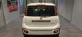 Fiat Panda 1.0 FireFly S&S Hybrid Pandina Blanco - thumbnail 6