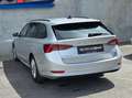 Skoda Octavia Ambition/KAMERA/ Grau - thumbnail 6