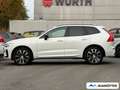 Volvo XC60 T8 AWD Recharge Ultimate Dark AHK/360CAM Weiß - thumbnail 4