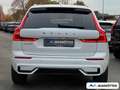 Volvo XC60 T8 AWD Recharge Ultimate Dark AHK/360CAM Weiß - thumbnail 3