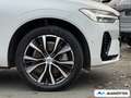 Volvo XC60 T8 AWD Recharge Ultimate Dark AHK/360CAM Weiß - thumbnail 6