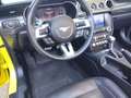 Ford Mustang Convertible 5.0 Ti-VCT GT Aut. Amarillo - thumbnail 27