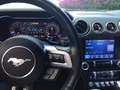 Ford Mustang Convertible 5.0 Ti-VCT GT Aut. Amarillo - thumbnail 23