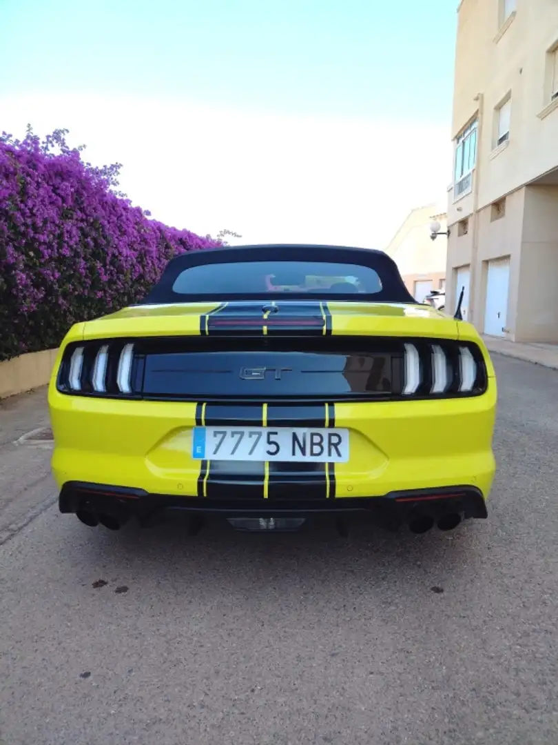 Ford Mustang Convertible 5.0 Ti-VCT GT Aut. Amarillo - 2