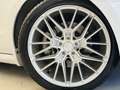Ford Mustang 5000 V8 SALEEN PACKAGE MANUALE DEPOTENZIATALIBRETT Weiß - thumbnail 14