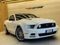 Ford Mustang 5000 V8 SALEEN PACKAGE MANUALE DEPOTENZIATALIBRETT Weiß - thumbnail 1