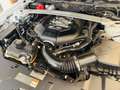 Ford Mustang 5000 V8 SALEEN PACKAGE MANUALE DEPOTENZIATALIBRETT Weiß - thumbnail 15