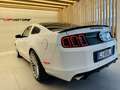 Ford Mustang 5000 V8 SALEEN PACKAGE MANUALE DEPOTENZIATALIBRETT Weiß - thumbnail 13