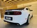 Ford Mustang 5000 V8 SALEEN PACKAGE MANUALE DEPOTENZIATALIBRETT Weiß - thumbnail 12