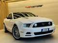 Ford Mustang 5000 V8 SALEEN PACKAGE MANUALE DEPOTENZIATALIBRETT Weiß - thumbnail 4