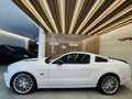 Ford Mustang 5000 V8 SALEEN PACKAGE MANUALE DEPOTENZIATALIBRETT Weiß - thumbnail 3