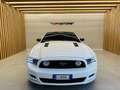 Ford Mustang 5000 V8 SALEEN PACKAGE MANUALE DEPOTENZIATALIBRETT Weiß - thumbnail 2