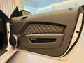 Ford Mustang 5000 V8 SALEEN PACKAGE MANUALE DEPOTENZIATALIBRETT Weiß - thumbnail 9