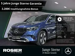 Mercedes-Benz EQE SUV 300 Edition Electric Art Distr. LED P