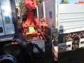 Iveco eurocargo 150e23 cassone con gru Blanco - thumbnail 7