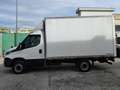Iveco Daily 35S15 BOX CON SPONDA 2 POSTI - 2016 Білий - thumbnail 6