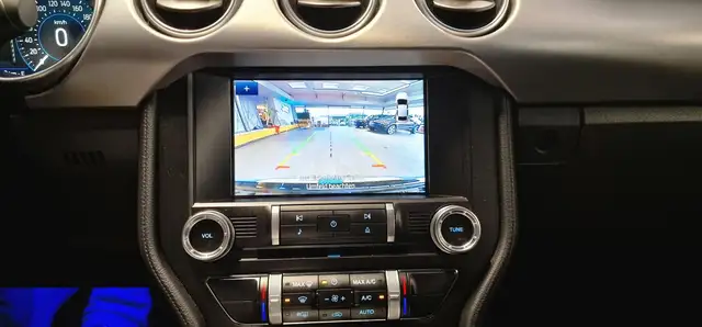 Ford Mustang view 15