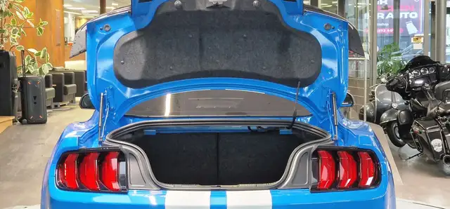 Ford Mustang view 10