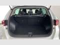 Kia Sportage 1.6 MHEV Black Edition 4x2 136 Blanco - thumbnail 14