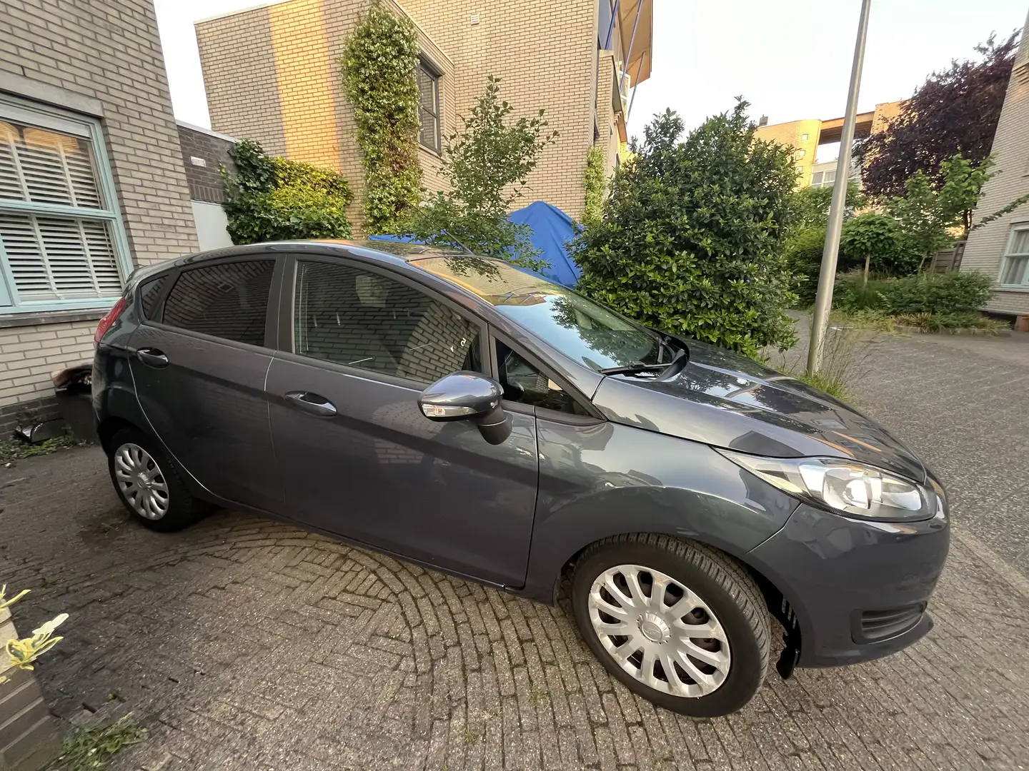Ford Fiesta 1.0 EcoB. Titanium Grijs - 1
